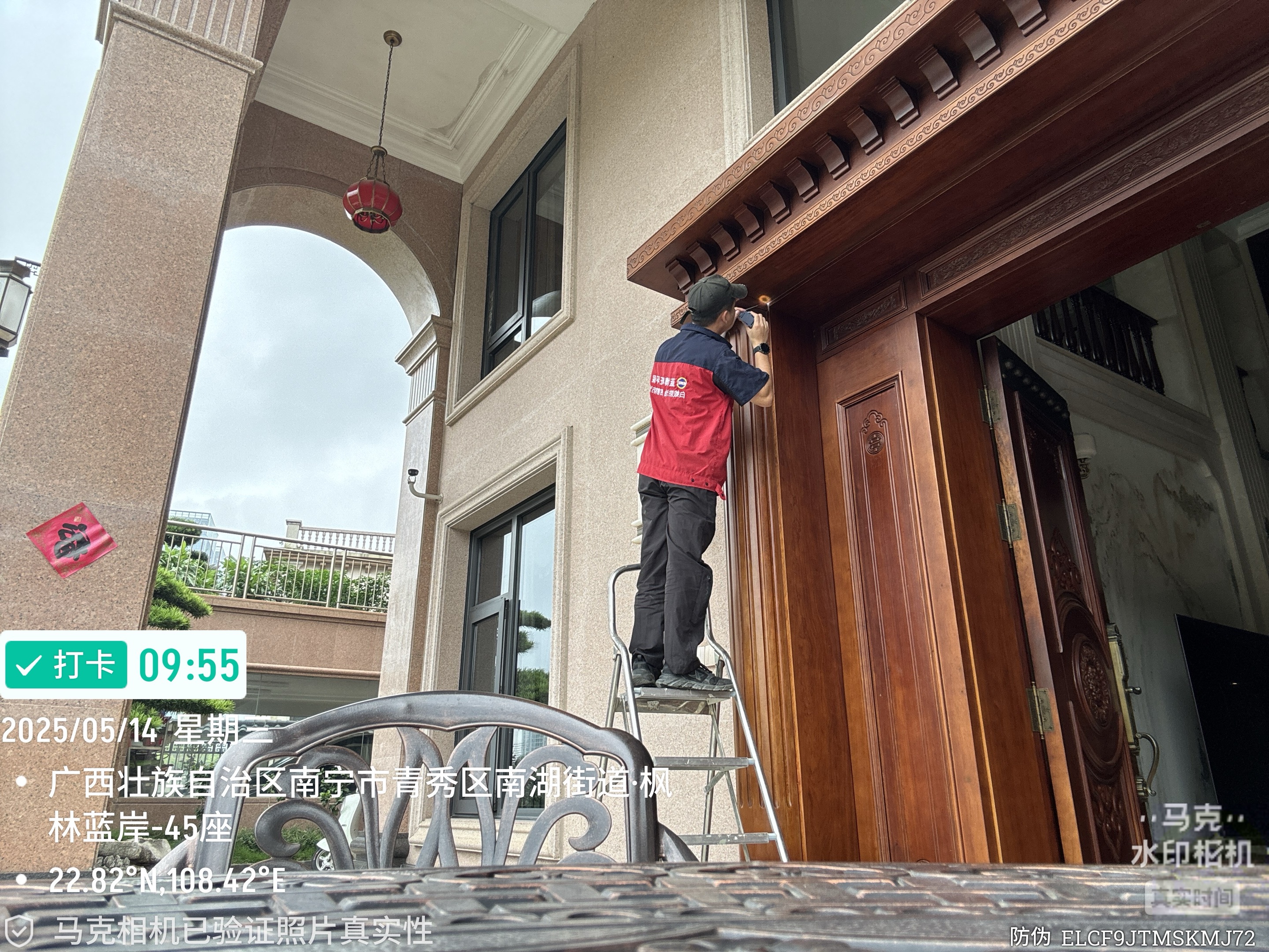 如何殺老鼠？殺老鼠的快速方法